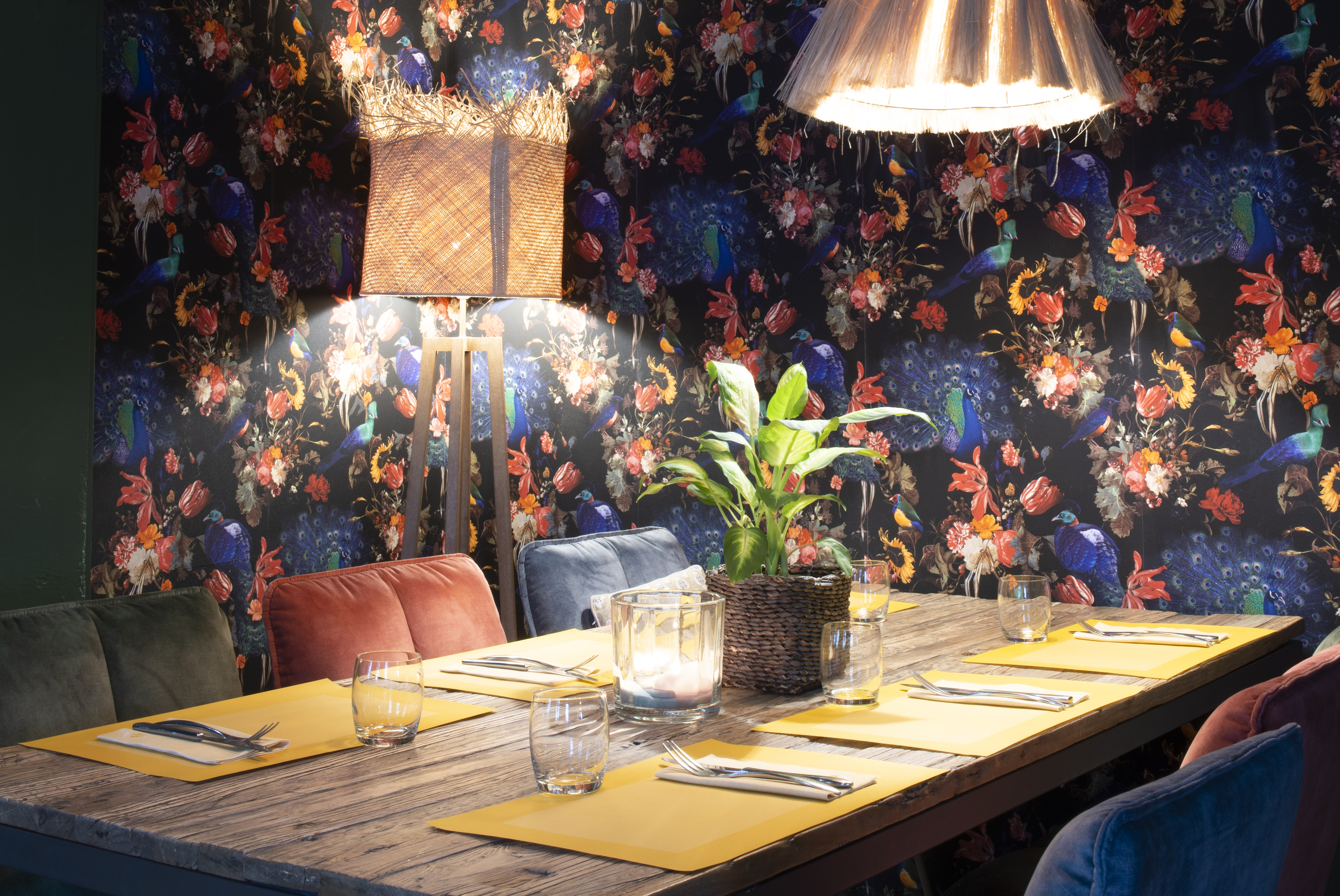 AMBIANCE CELYTISS ET CELYSET CURRY 9